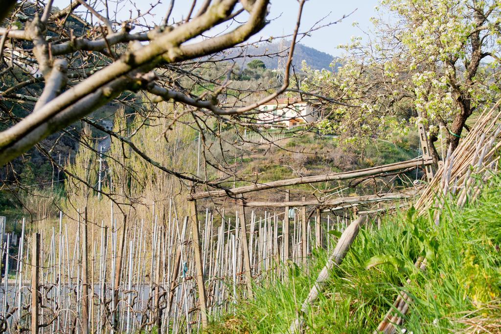 Family House Apartamento Levanto Habitación foto